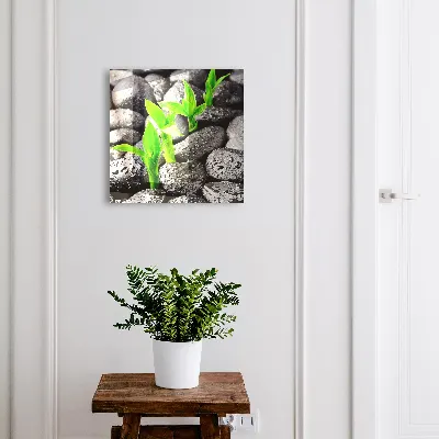 Green nature Key cabinet