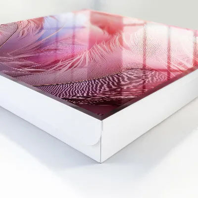 Beautiful pink feathers Key box for wall