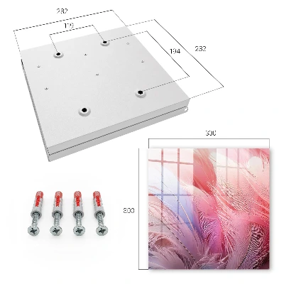 Beautiful pink feathers Key box for wall