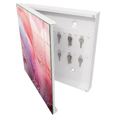 Beautiful pink feathers Key box for wall