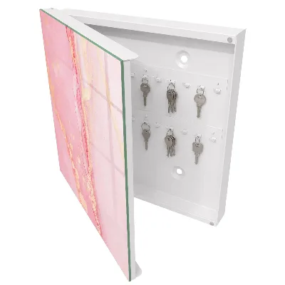 Pink dream Wall mounted key box