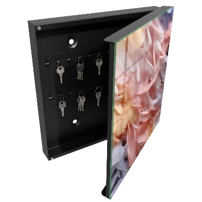 Pastel feathers Key box for wall