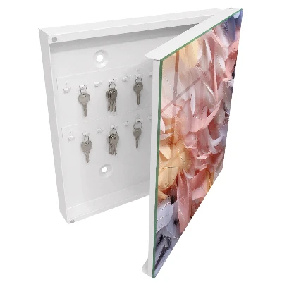 Pastel feathers Key box for wall