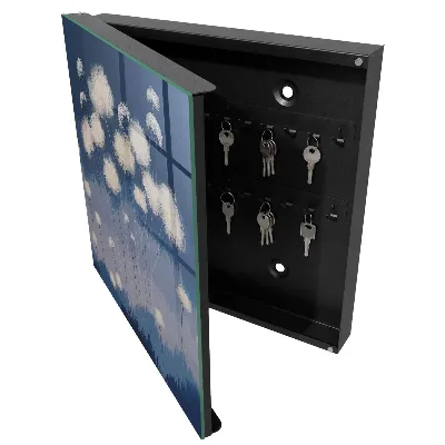 Dandelions Key cabinet