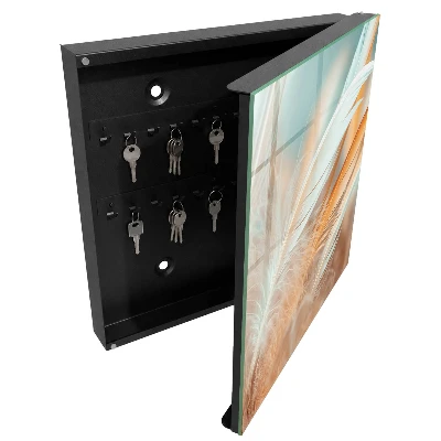 Wall mounted key box with pastel feathers design