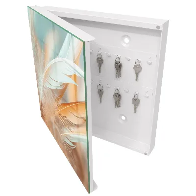 Pastel feathers Wall mounted key box