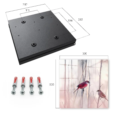 Two birds Key cabinet