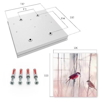 Two birds Key cabinet