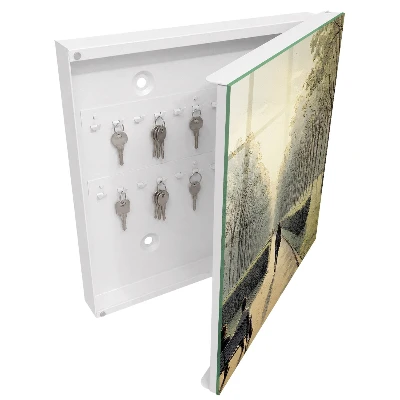 Walk in the park Key box for wall