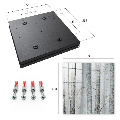 Birches nature Key cabinet