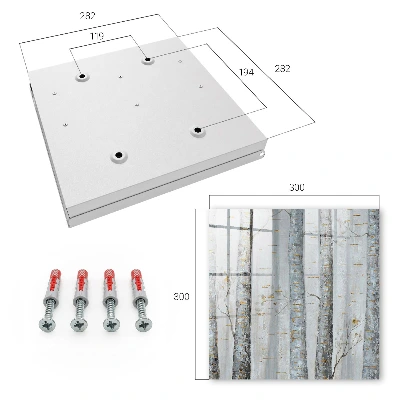 Birches nature Key cabinet