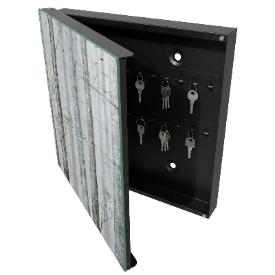 Birches nature Key cabinet