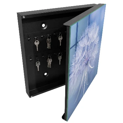 Subtle dandelion Key box for wall