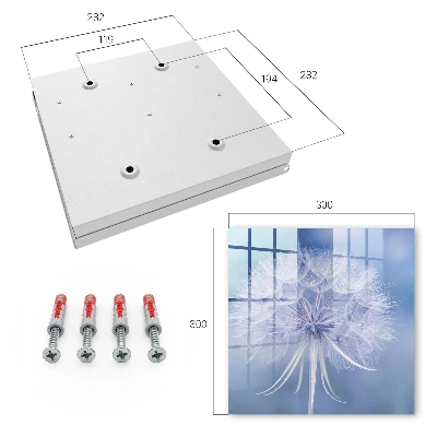 Subtle dandelion Key box for wall