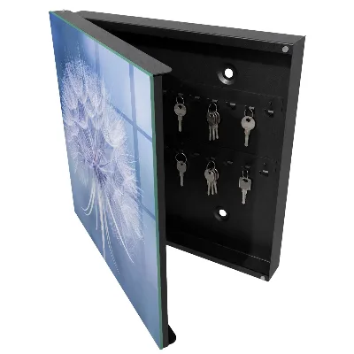 Subtle dandelion Key box for wall