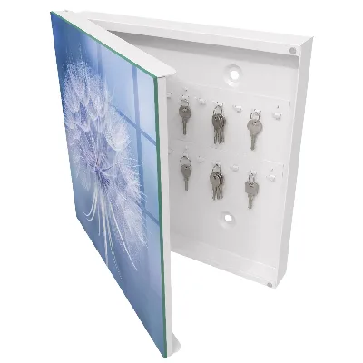 Subtle dandelion Key box for wall