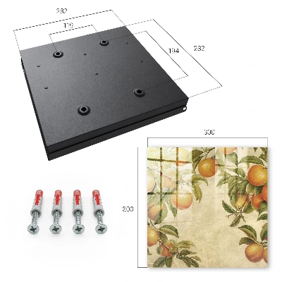 Oranges nature Key box for wall