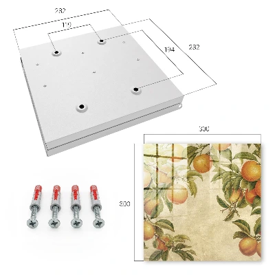 Oranges nature Key box for wall