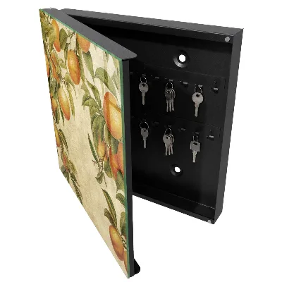 Oranges nature Key box for wall