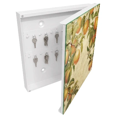 Oranges nature Key box for wall