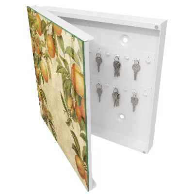 Oranges nature Key box for wall