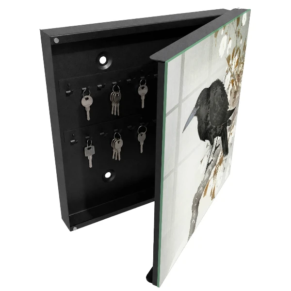 Black raven Wall mounted key box