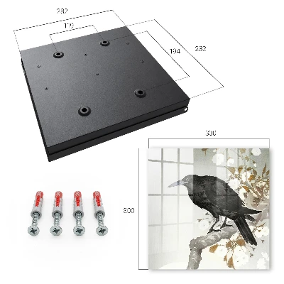 Black raven Wall mounted key box