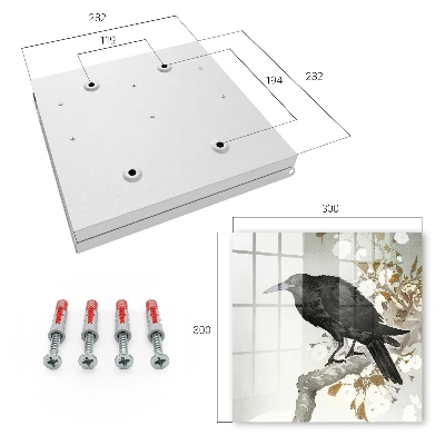 Black raven Wall mounted key box