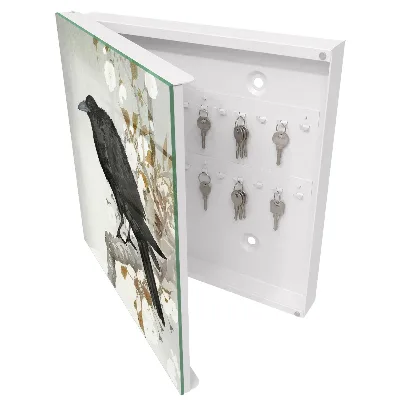Black raven Wall mounted key box