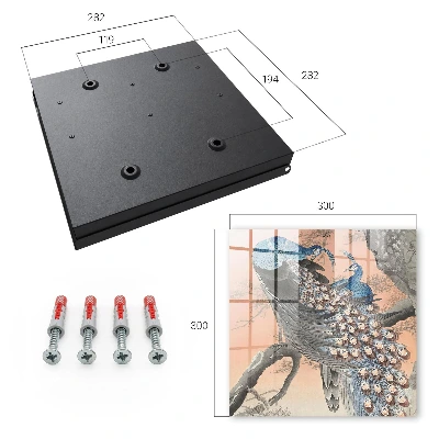 Peacock beauty Wall mounted key box