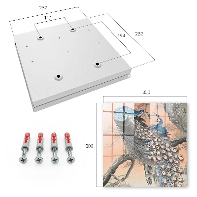 Peacock beauty Wall mounted key box