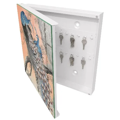 Peacock beauty Wall mounted key box