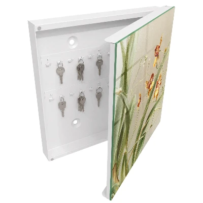 Climbing flowers Key box for wall