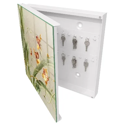 Climbing flowers Key box for wall
