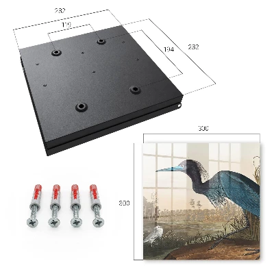 Exotic bird Wall mounted key box