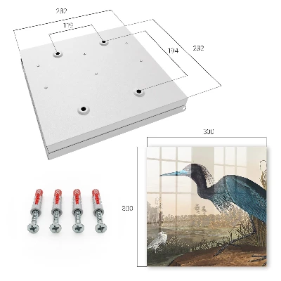 Exotic bird Wall mounted key box