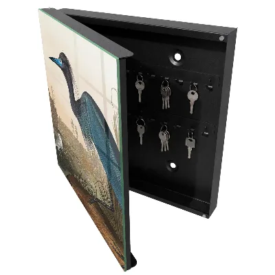 Exotic bird Wall mounted key box