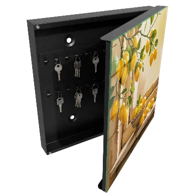 Lemon freshness Key cabinet