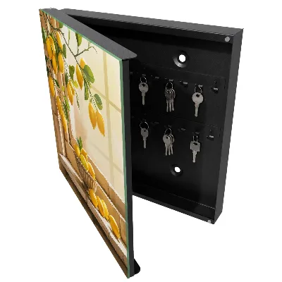 Lemon freshness Key cabinet