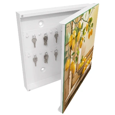 Lemon freshness Key cabinet