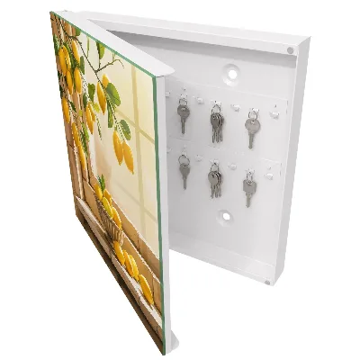 Lemon freshness Key cabinet