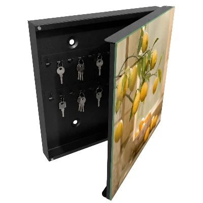 Lemon charm Key box for wall