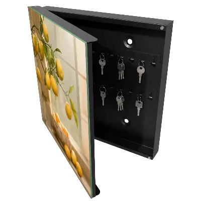 Lemon charm Key box for wall