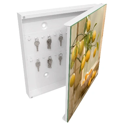 Lemon charm Key box for wall