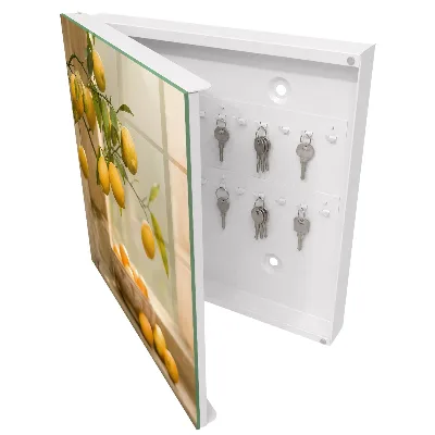 Lemon charm Key box for wall