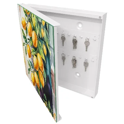 Lemon charm Key cabinet