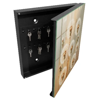 Dandelions beauty Wall mounted key box