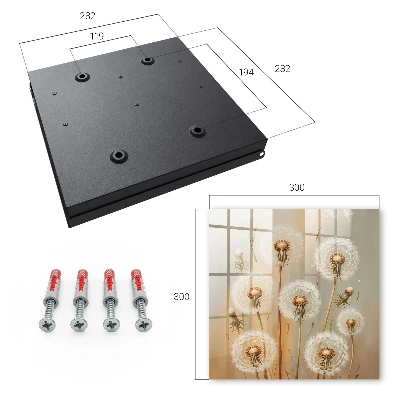 Dandelions beauty Wall mounted key box