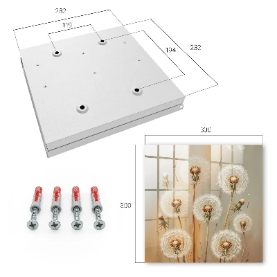 Dandelions beauty Wall mounted key box