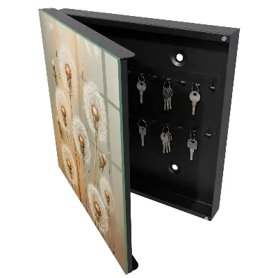 Dandelions beauty Wall mounted key box